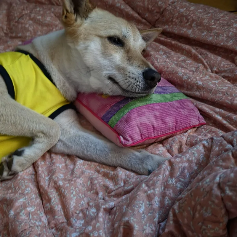 Lulu thumbnail 2