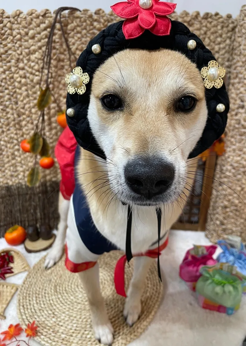 Lulu thumbnail 3
