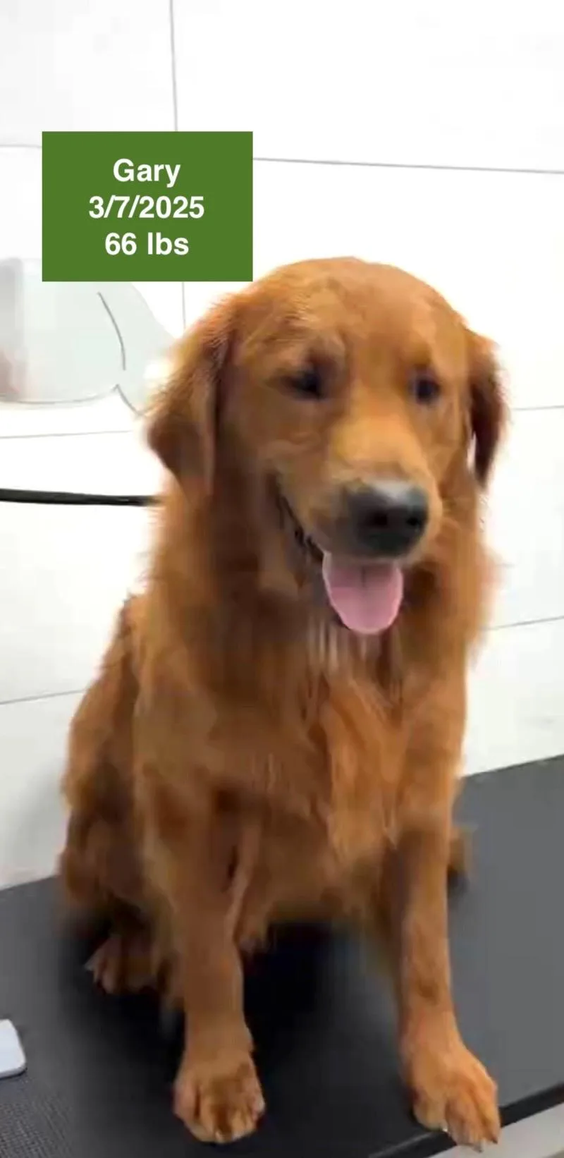 Gary