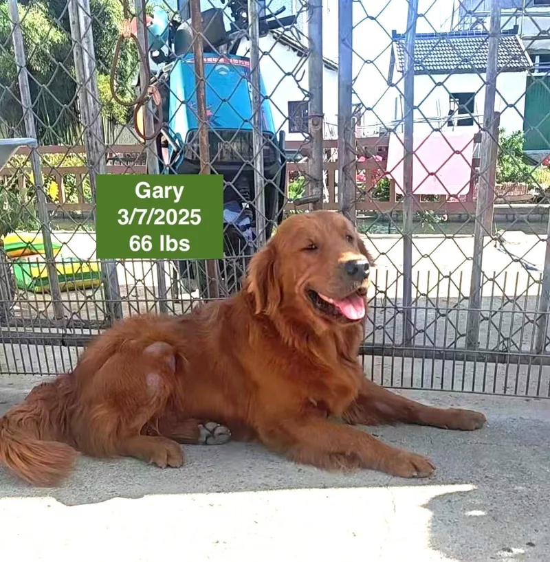 Gary thumbnail 2