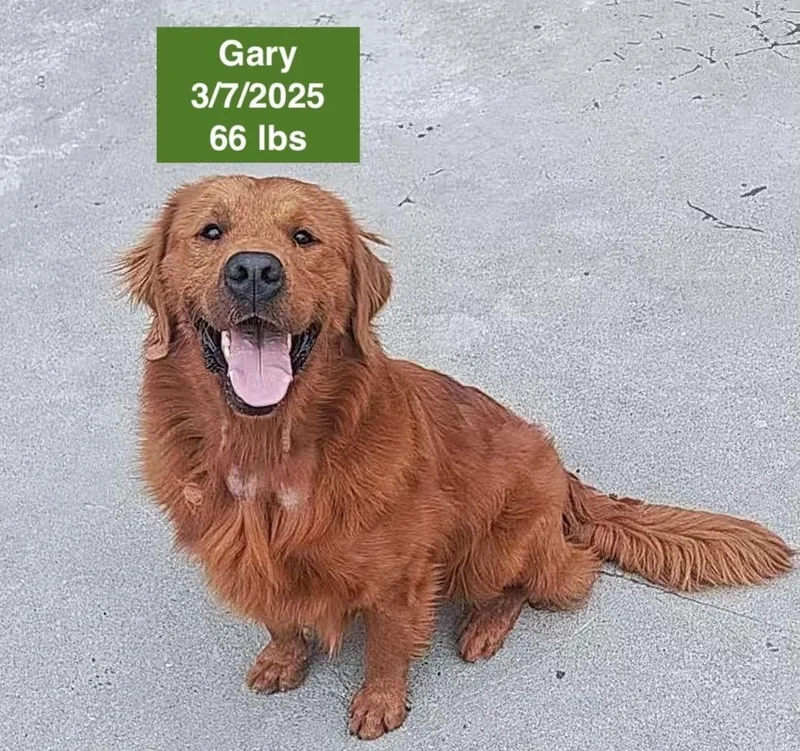 Gary thumbnail 3