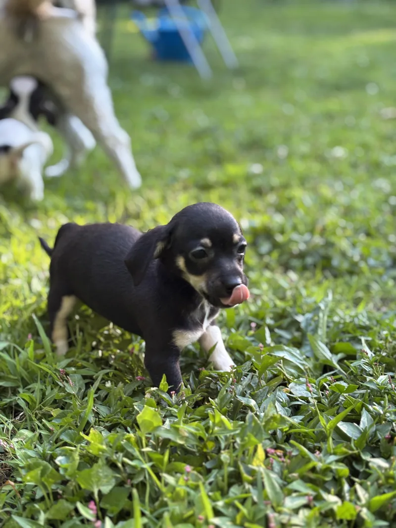 Delilah thumbnail 2