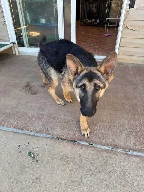 Ranger