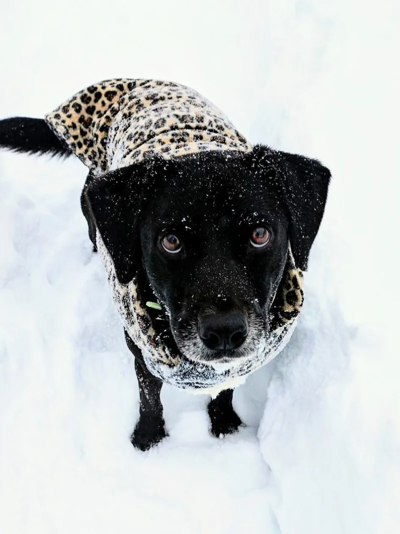 Kenny  In Ct thumbnail 2