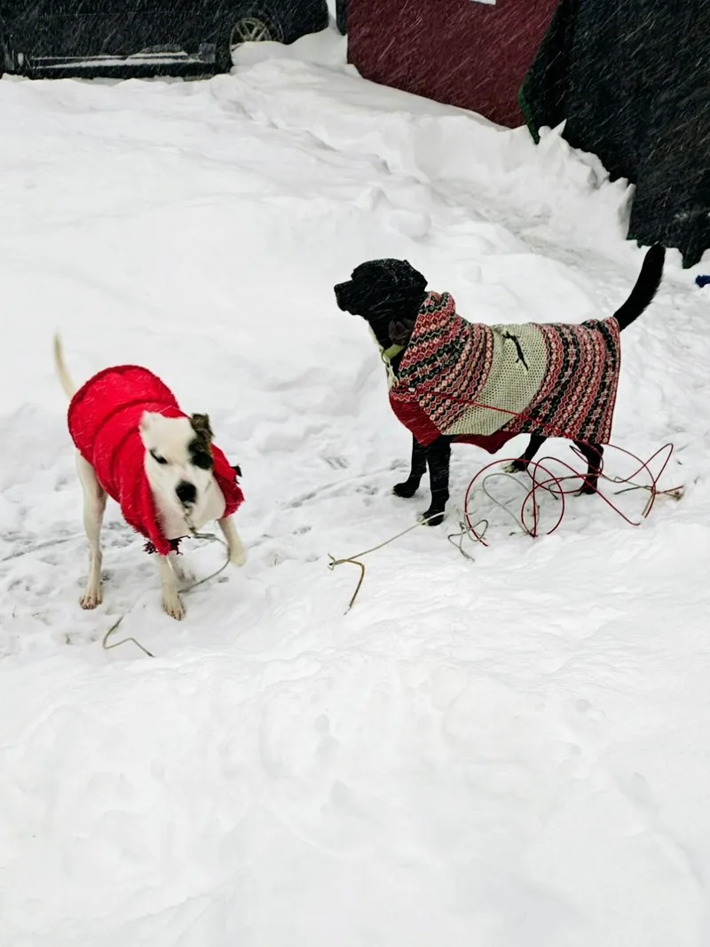 Kenny  In Ct thumbnail 3