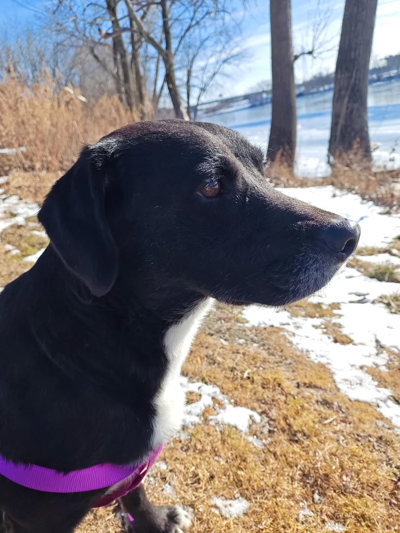 Kenny  In Ct thumbnail 4