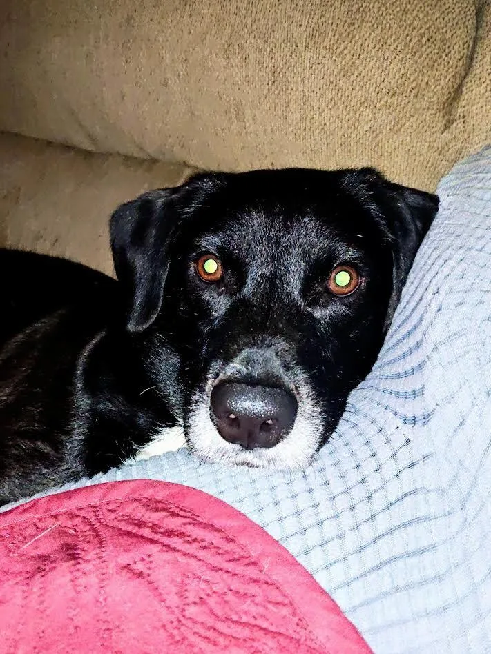 Kenny  In Ct thumbnail 5