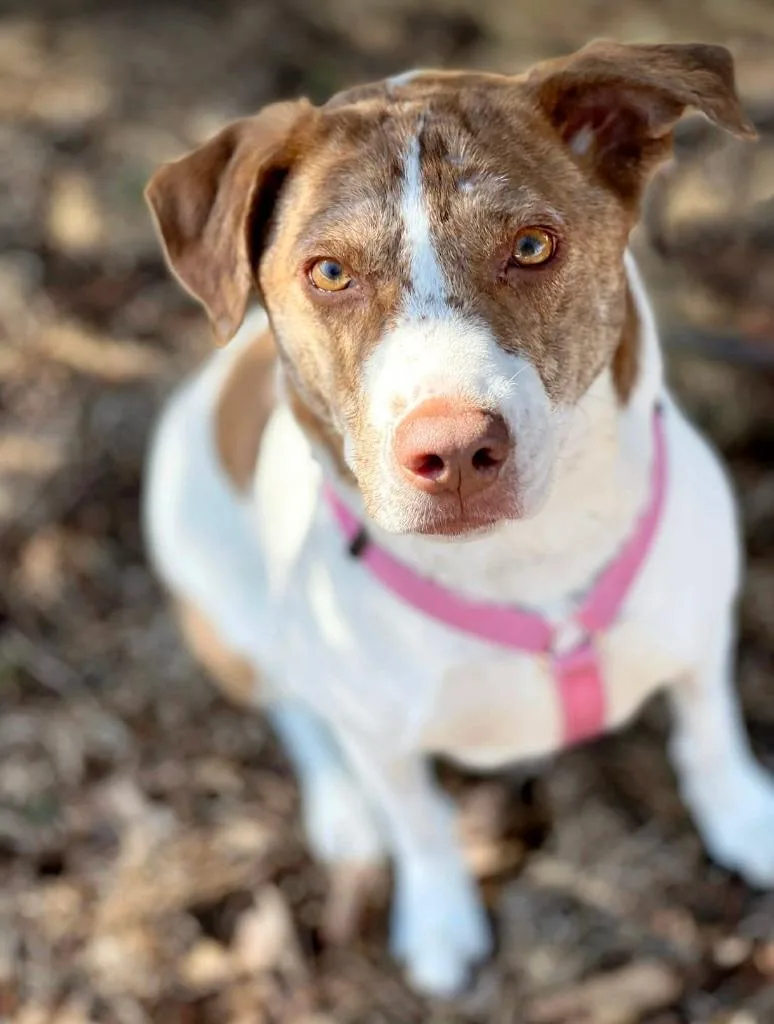 Felicity thumbnail 2