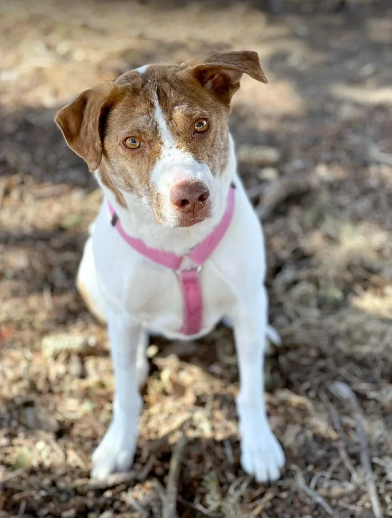 Felicity thumbnail 3