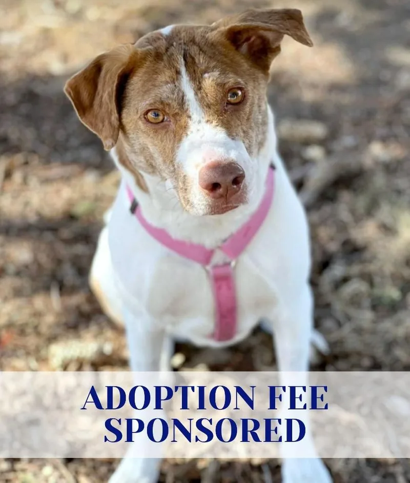 Felicity thumbnail 6