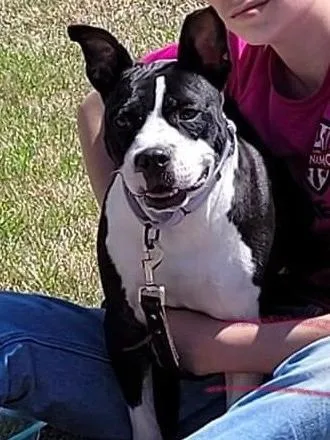 Beetlejuice  A thumbnail 5