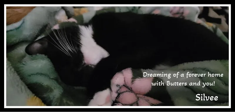 Warning: Butters & Silvee thumbnail 2