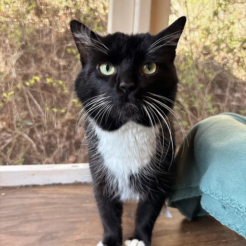 Prescott thumbnail 2