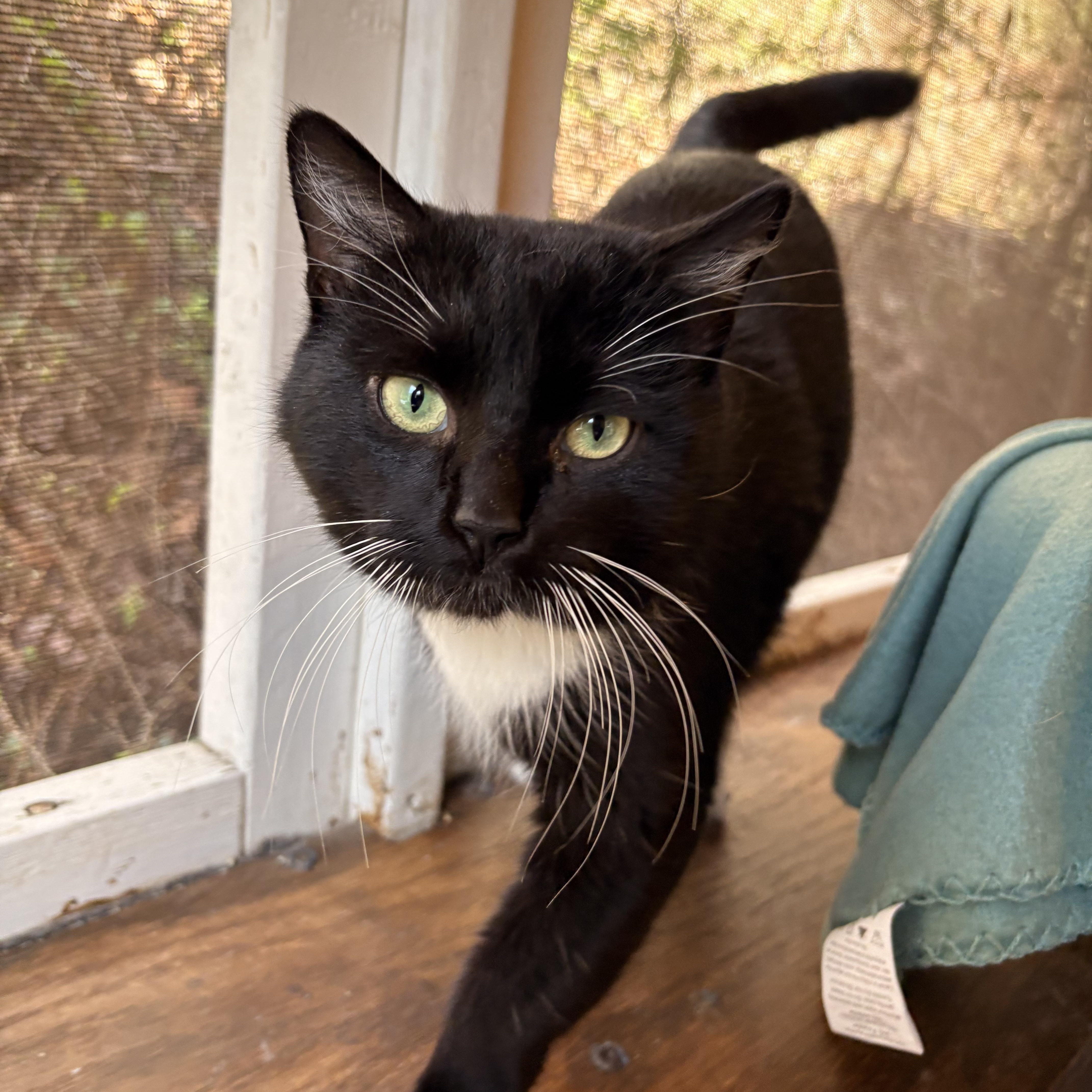 Prescott thumbnail 3