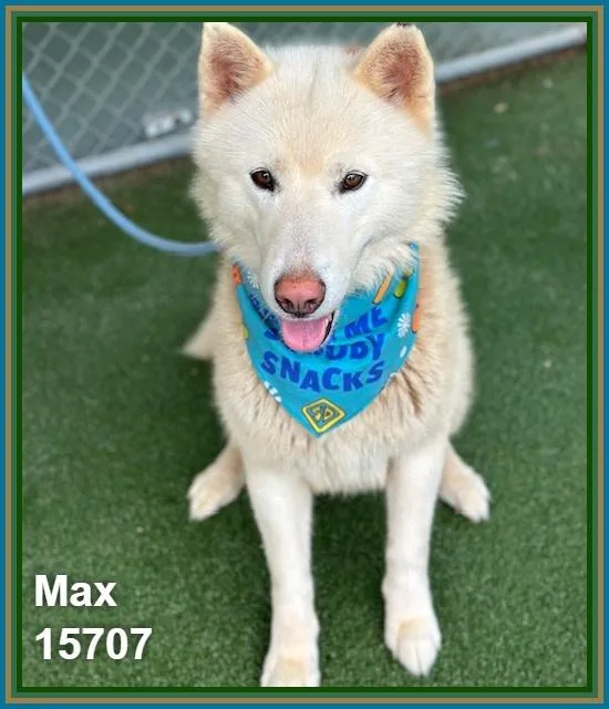 Max