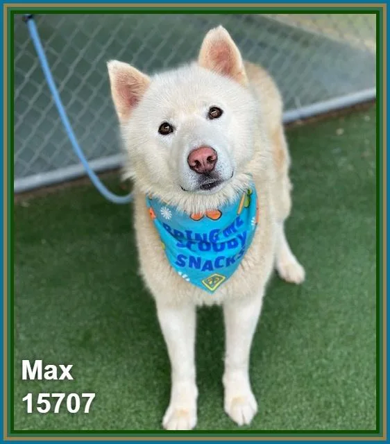 Max thumbnail 2