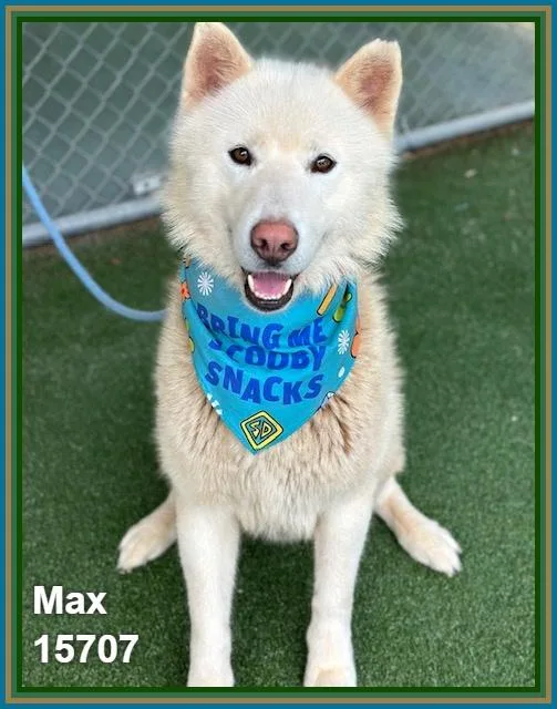 Max thumbnail 3