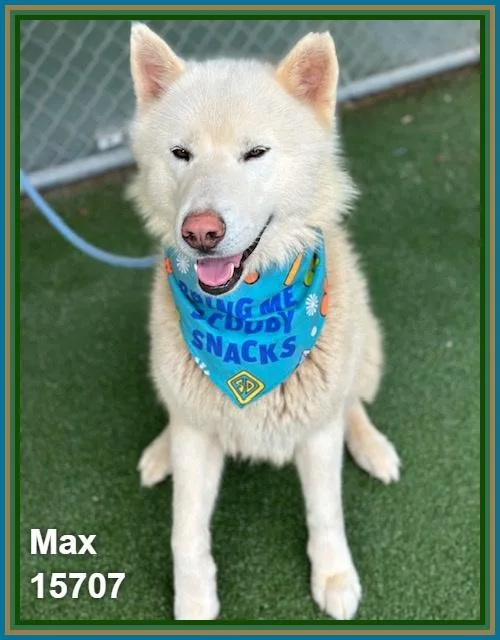 Max thumbnail 6