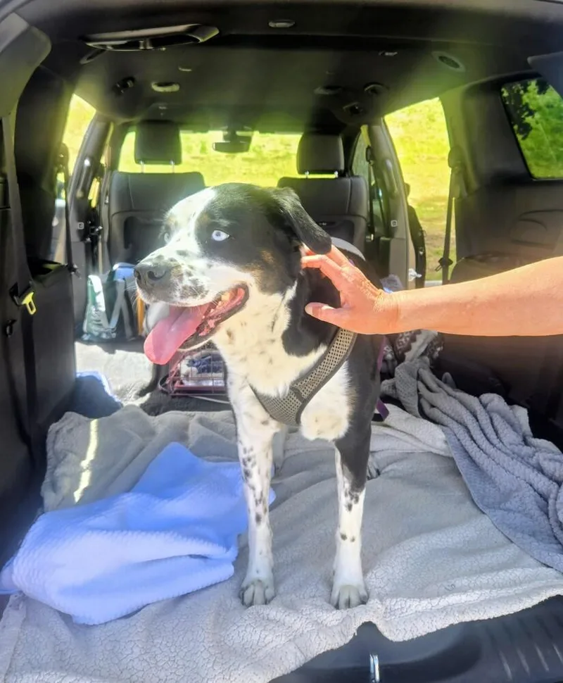Zoey thumbnail 5