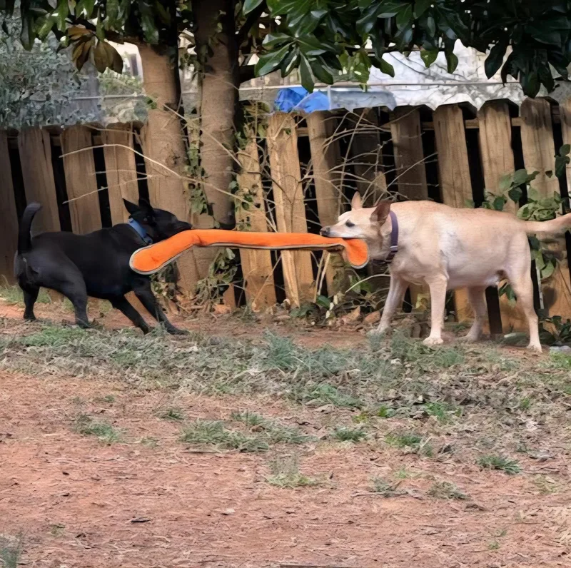 Marshmallow thumbnail 2