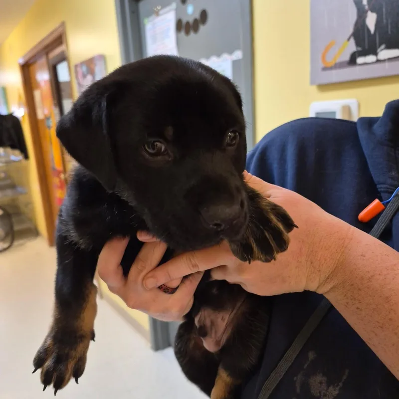 Jessie @ Prison Program thumbnail 2