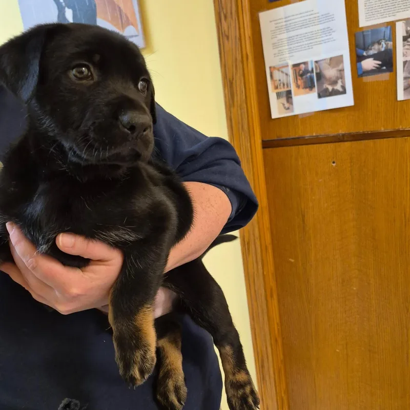 Jessie @ Prison Program thumbnail 3