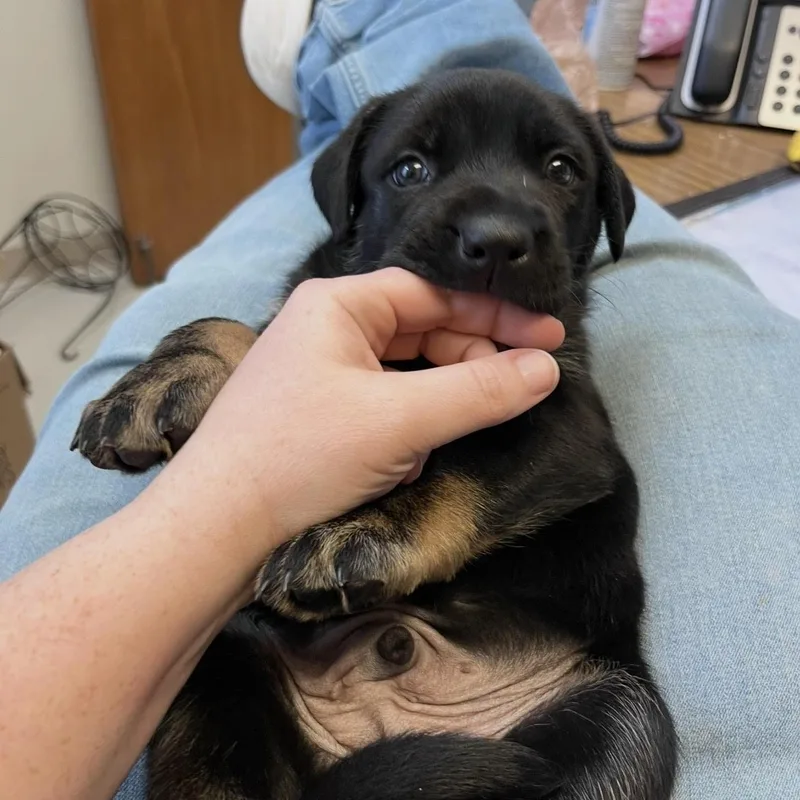 Jessie @ Prison Program