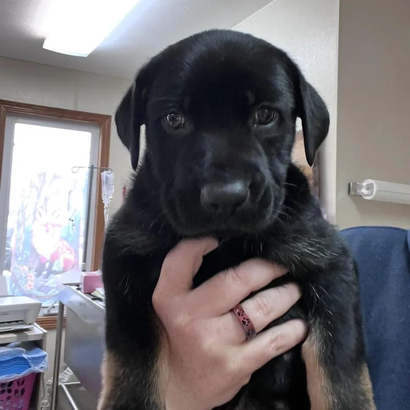 Jessie @ Prison Program thumbnail 4