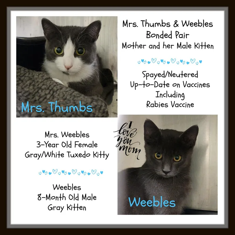 Mrs. Thumbs & Weebles