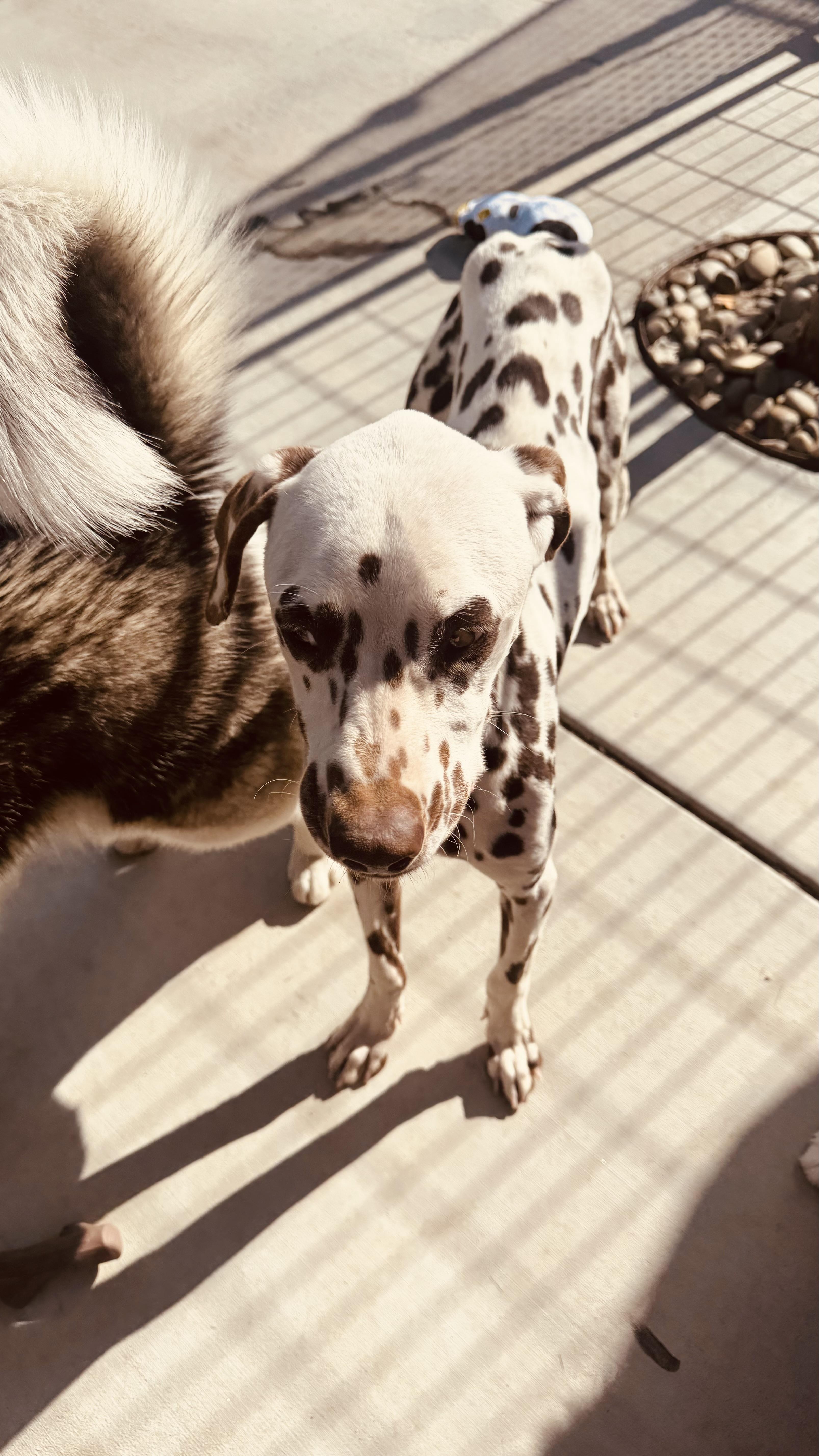 Barbielancaster  Ca thumbnail 2