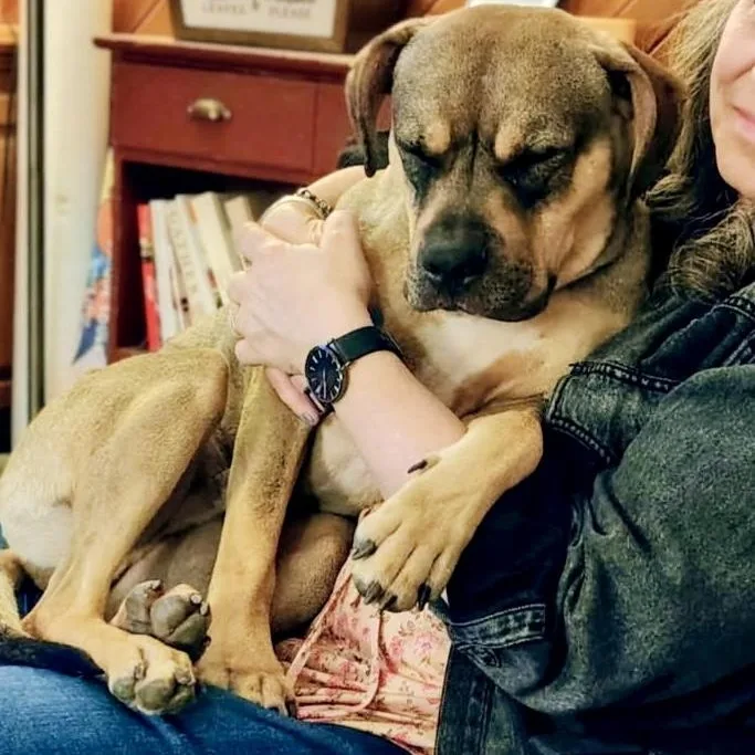 Sonny! Sweet Cuddle Bug! thumbnail 2