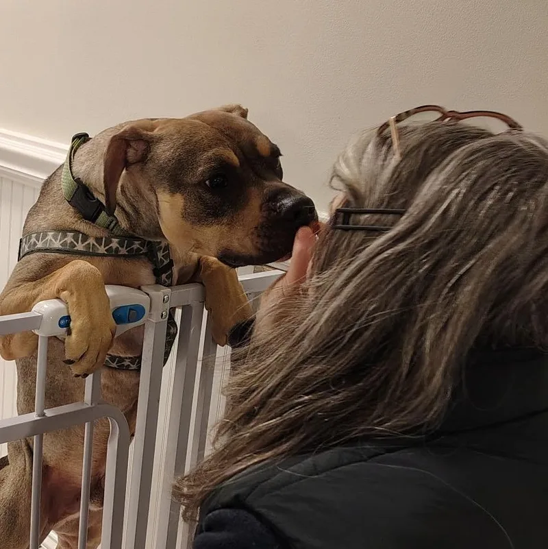 Sonny! Sweet Cuddle Bug! thumbnail 3