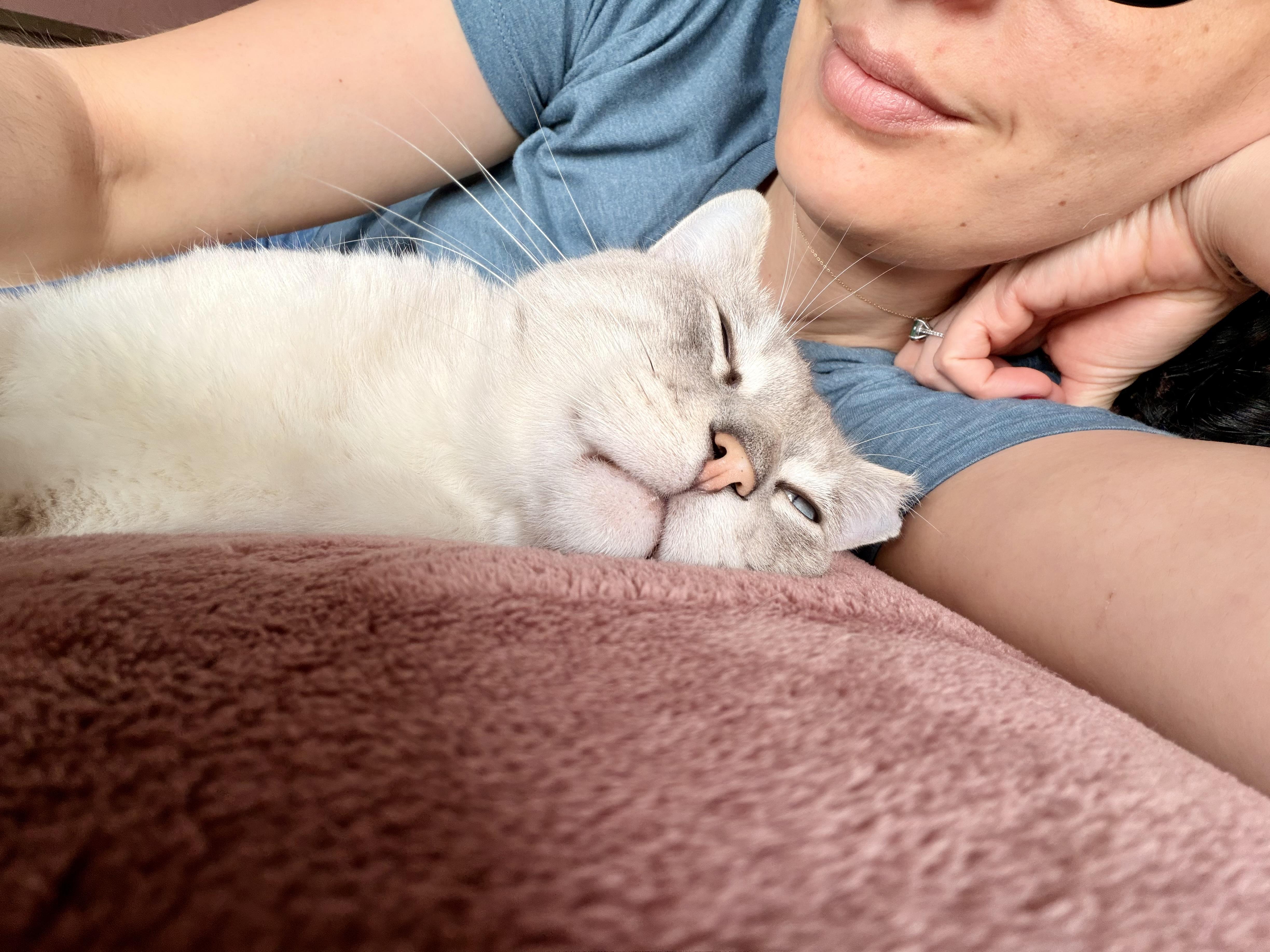 Jack Jack thumbnail 2