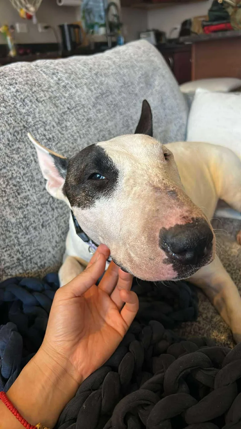 Aug Penelope One Eye thumbnail 4