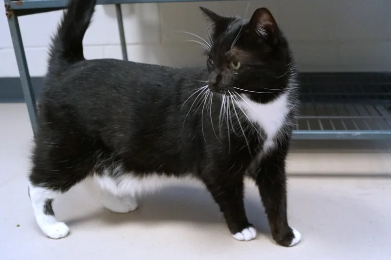 Dolly Parton thumbnail 2