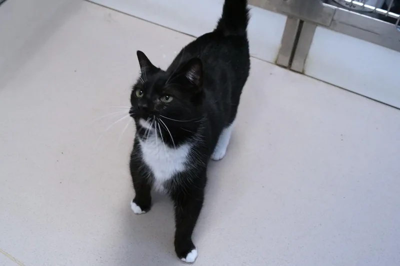 Dolly Parton thumbnail 3