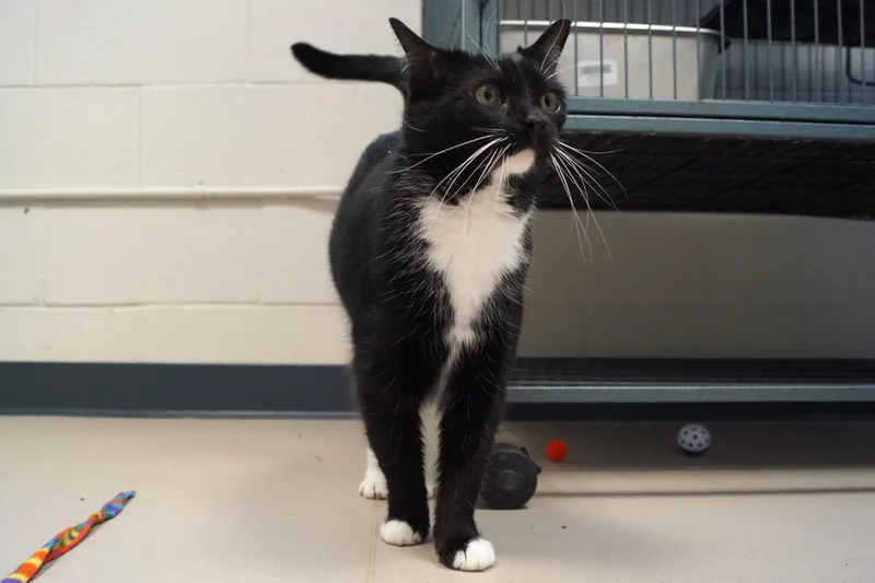 Dolly Parton thumbnail 4