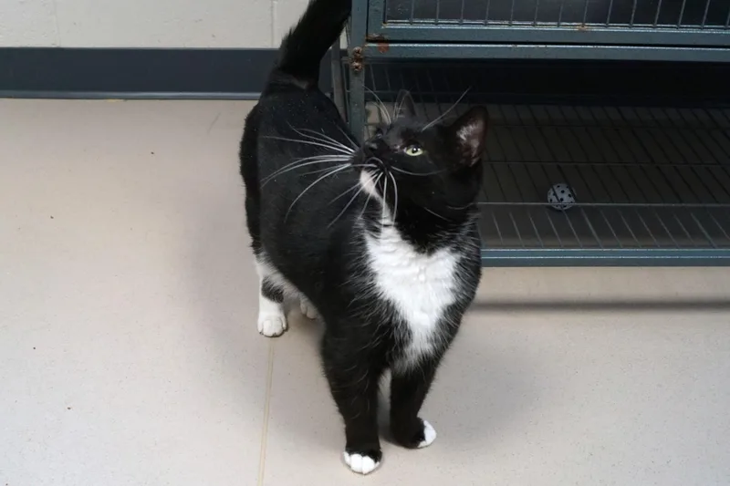 Dolly Parton thumbnail 5