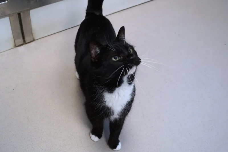 Dolly Parton thumbnail 6