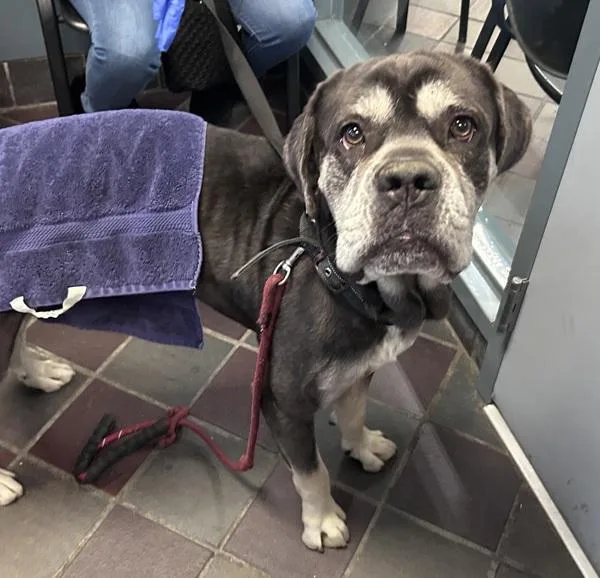 Bruce Lee Roy Banner