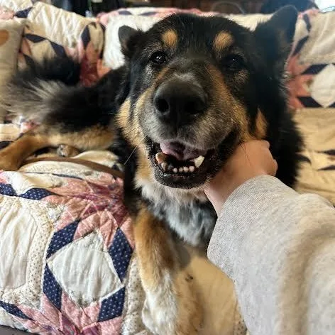 Precious thumbnail 2