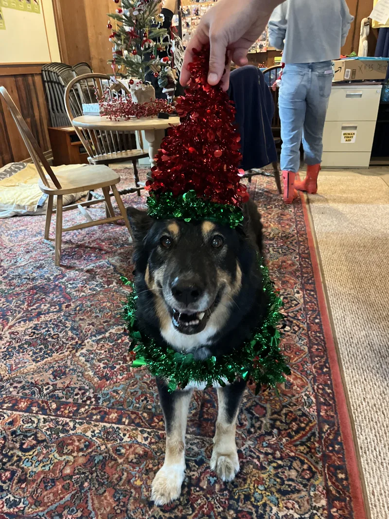 Precious thumbnail 3