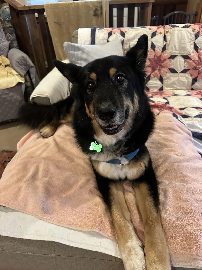 Precious thumbnail 4