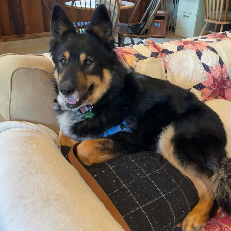 Precious thumbnail 5