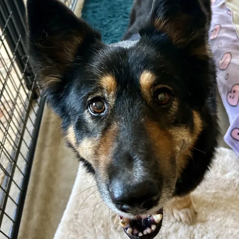 Precious thumbnail 6