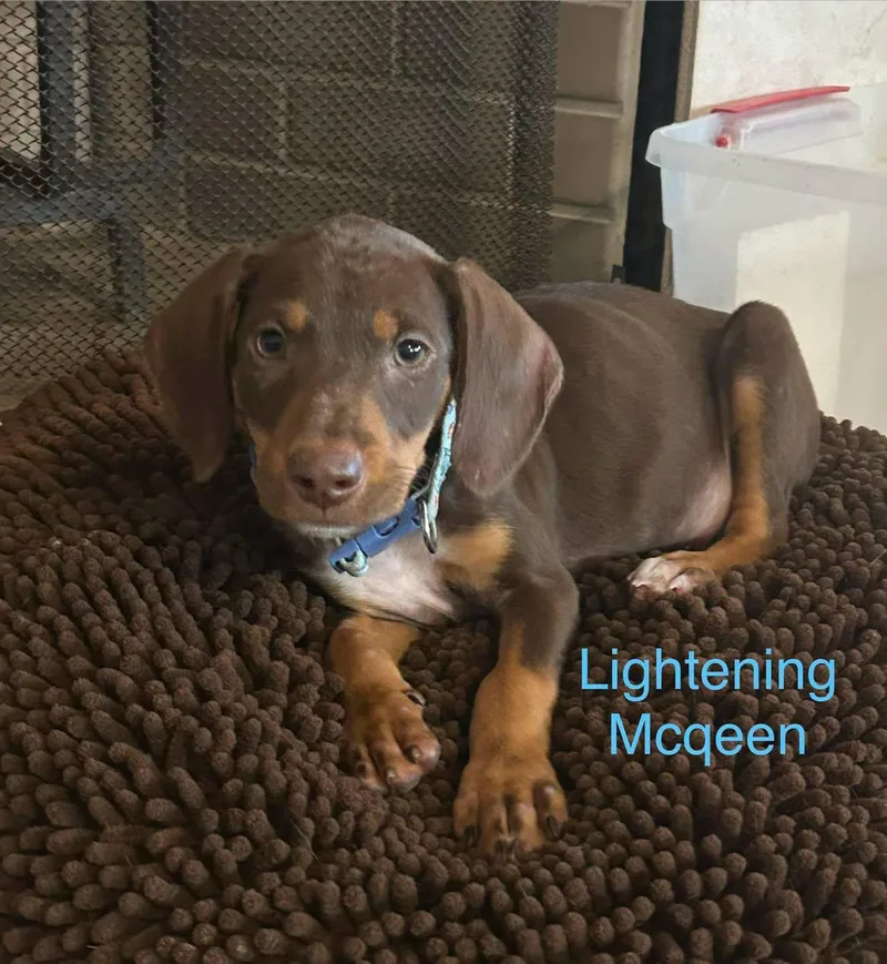 Lightning Mcqueen thumbnail 4