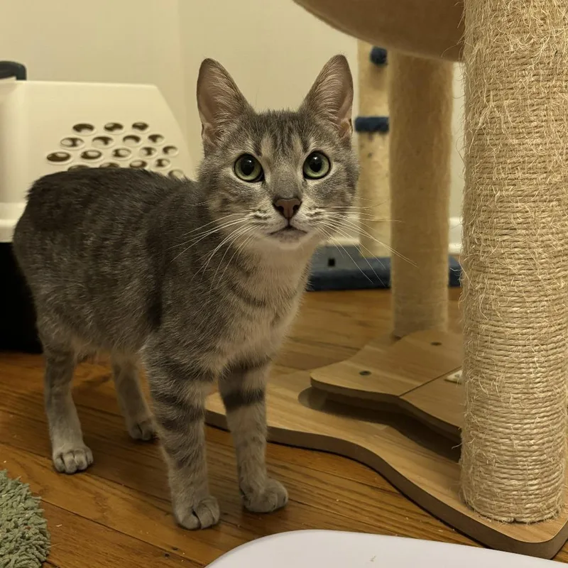 Judy Geller thumbnail 2