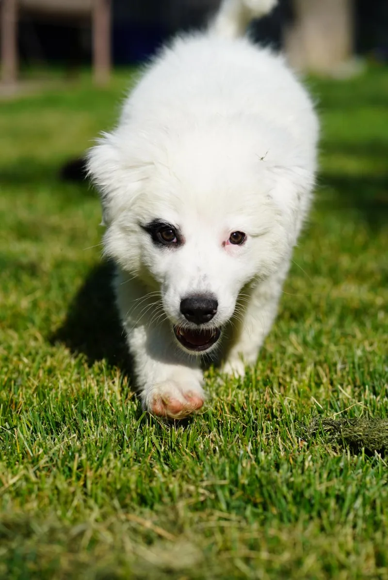 Murphy thumbnail 2
