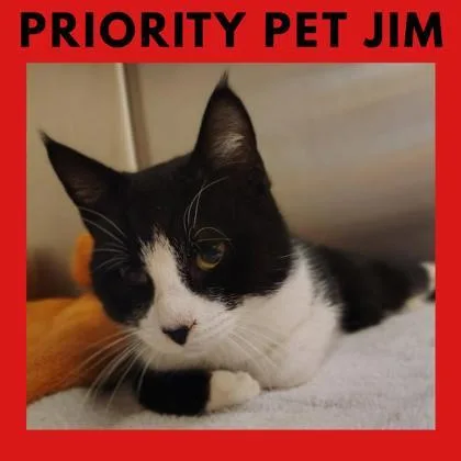 Jim `a Priority Pet` thumbnail 2