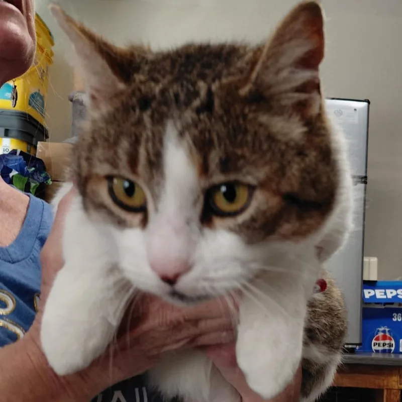 Francois thumbnail 3